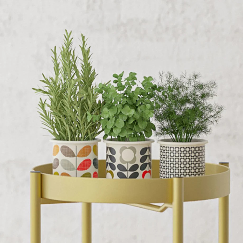 Gold Metal Plant Stand 2 Layer 80cm with Flower Pot Holder Corner Shelving Rack Indoor Display