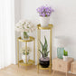 Gold Metal Plant Stand 2 Layer 80cm with Flower Pot Holder Corner Shelving Rack Indoor Display