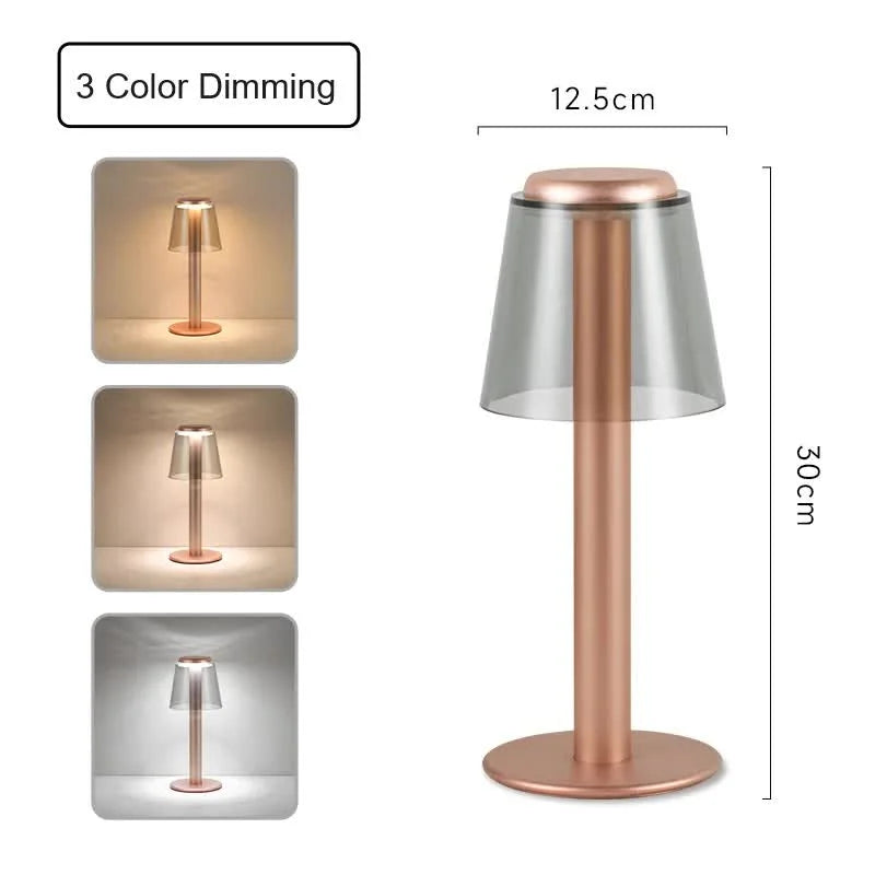 Gold Stylish Transparent Desk Lamp with Touch Control LED