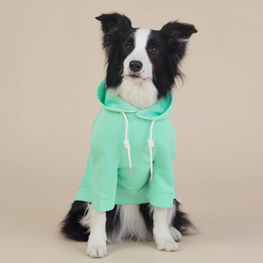 Green Classic Dog Sweatshirt with Hood & Drawstrings