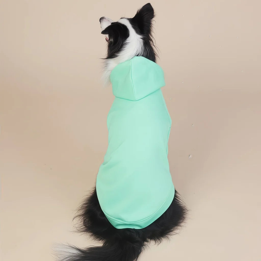 Green Classic Dog Sweatshirt with Hood & Drawstrings