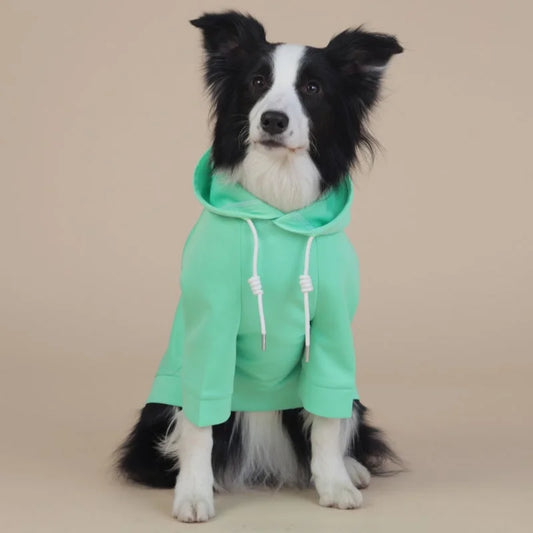 Green Classic Dog Sweatshirt with Hood & Drawstrings
