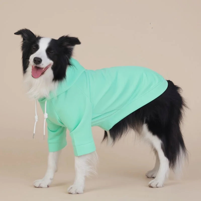 Green Classic Dog Sweatshirt with Hood & Drawstrings