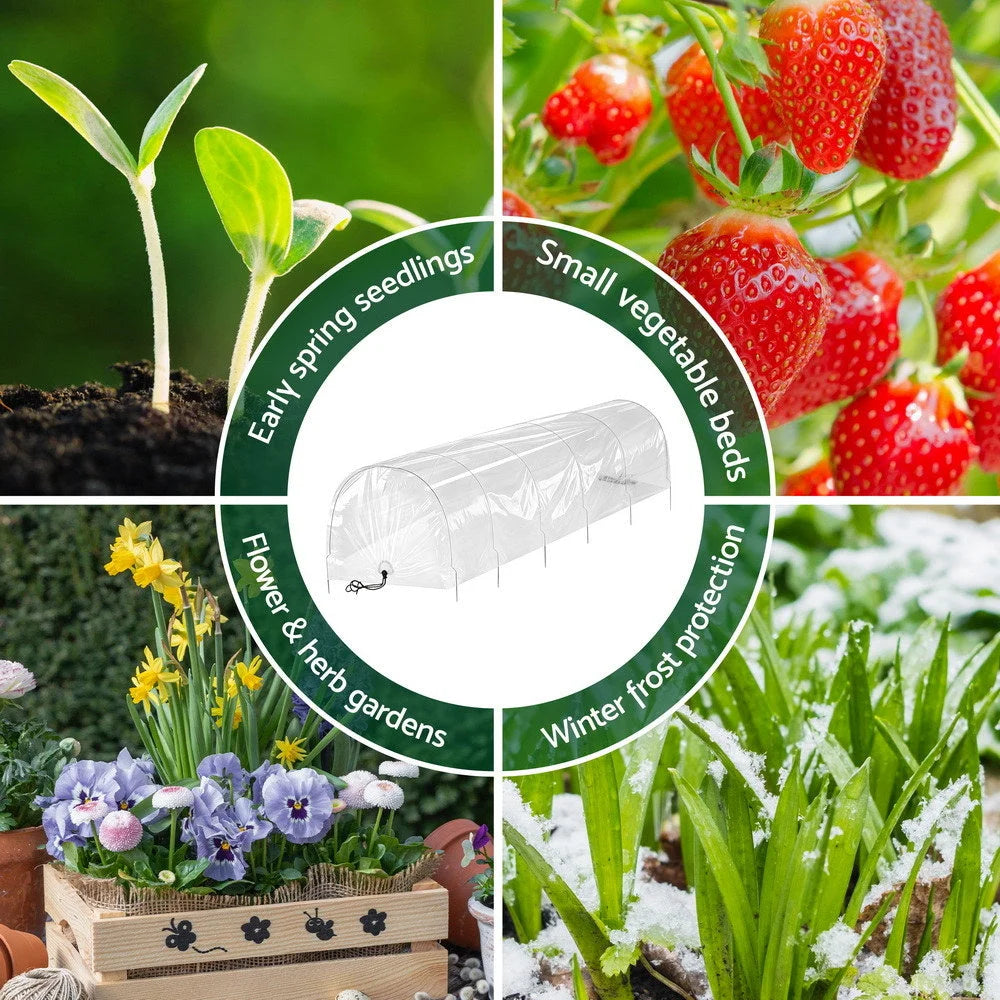 Green Fingers Mini Greenhouse 300x45x30cm Tunnel Clear PVC