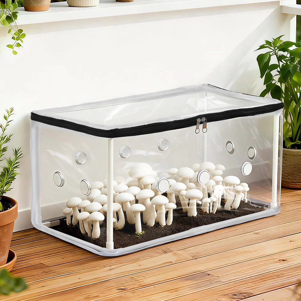 Green greenhouse with component details and storage context