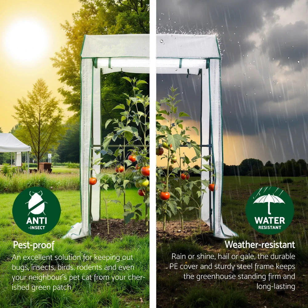 Green Fingers Mini Greenhouse PE Cover Green House Roll-Up