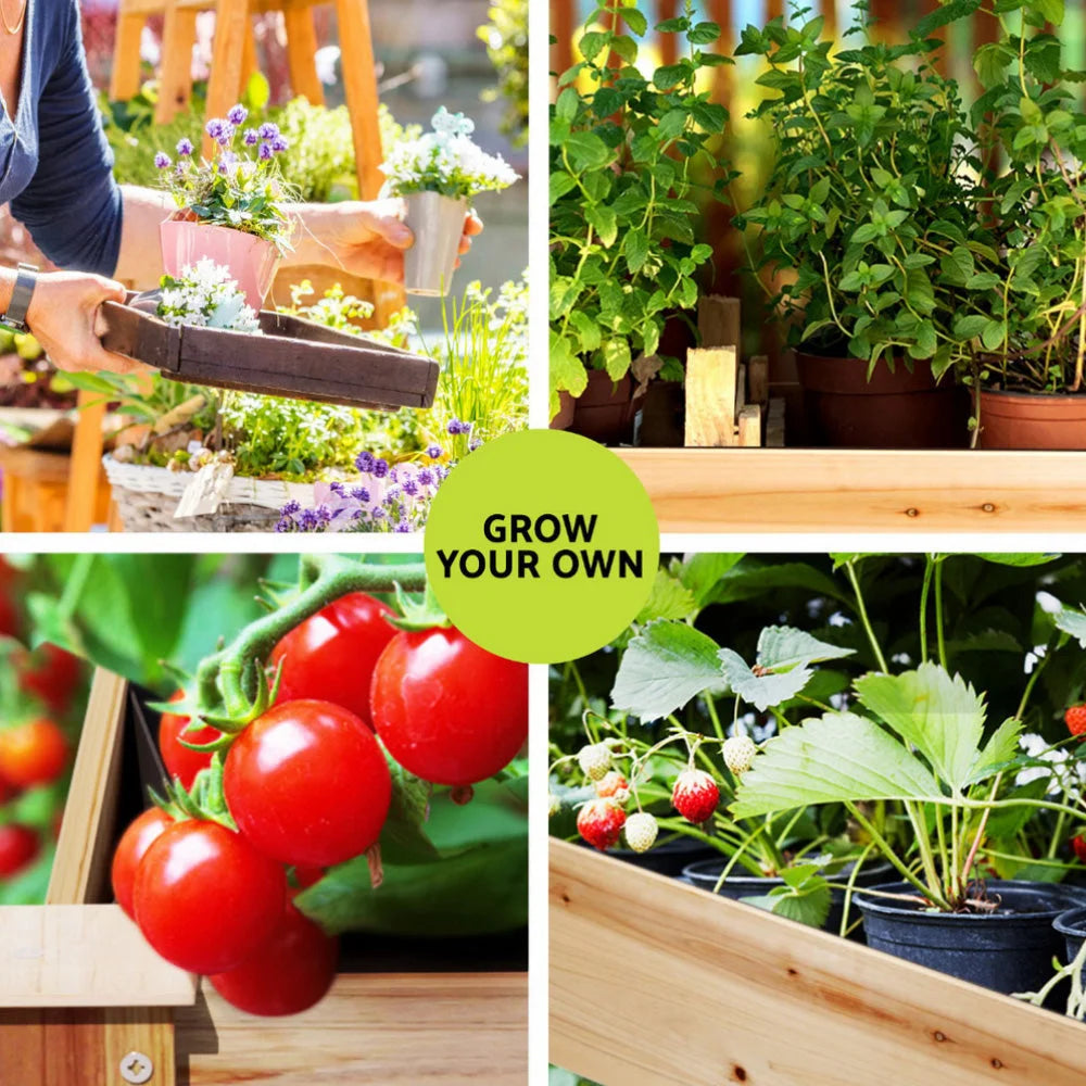 Green Fingers Raised Garden Bed 2x Elevated 120x60x80cm