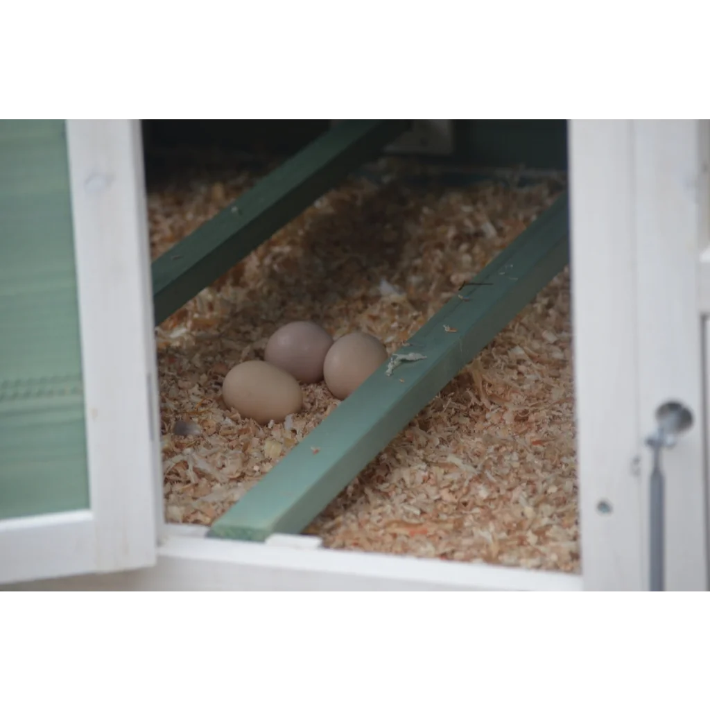 Green Large Chicken Coop Rabbit Hutch Ferret Guinea Pig