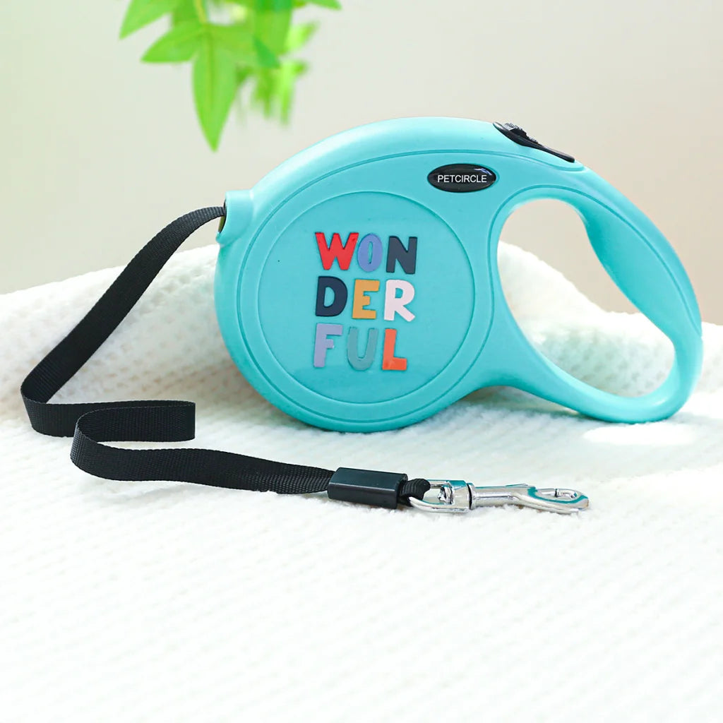 Green Wonderful 5m Cartoon Retractable Dog Leash for Golden