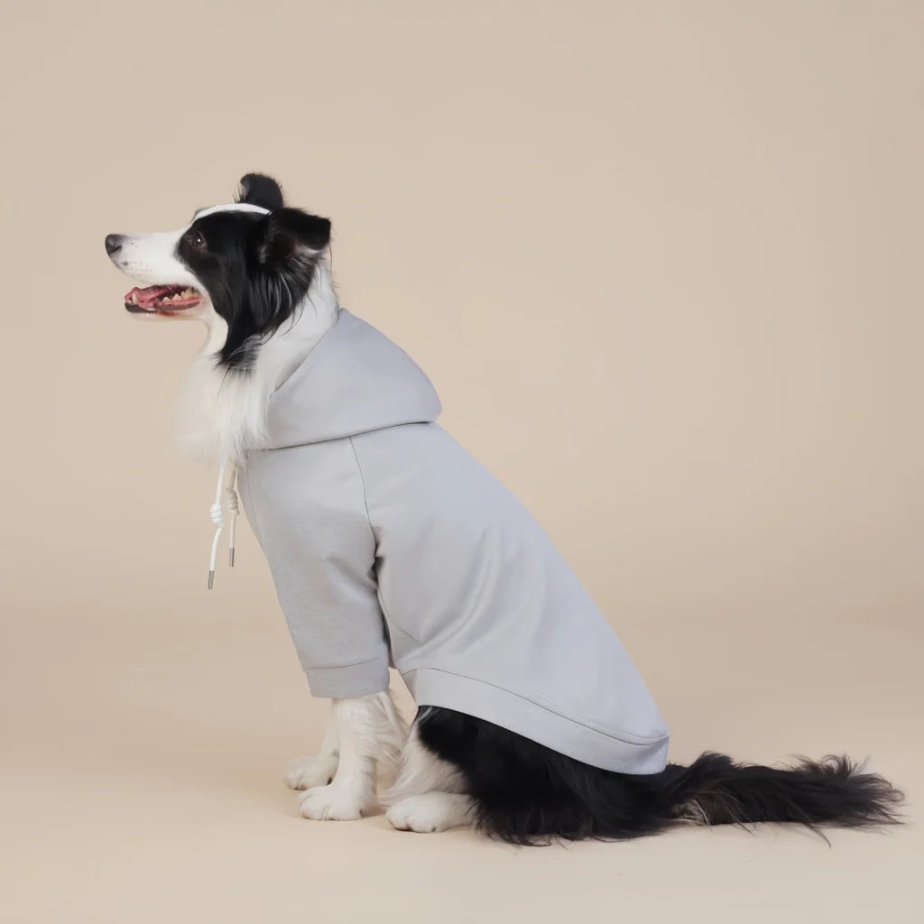 Grey Classic Dog Sweatshirt with Hood & Drawstrings