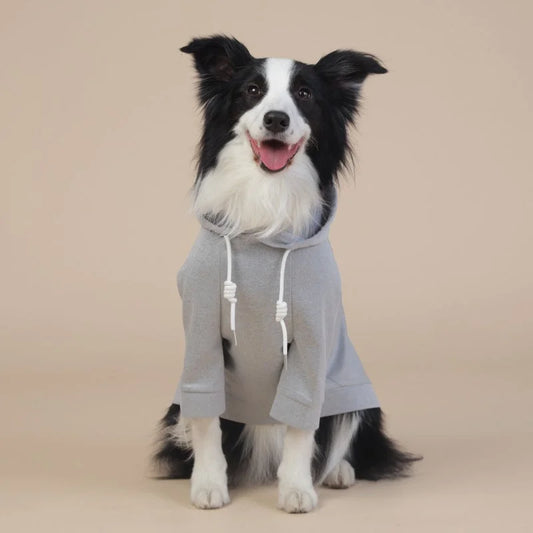 Grey Classic Dog Sweatshirt with Hood & Drawstrings