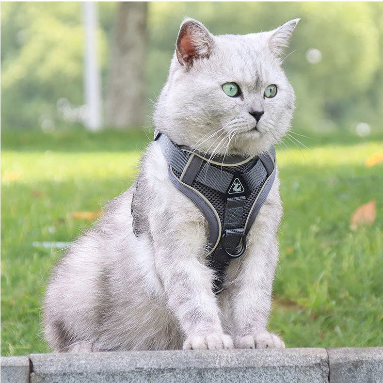 Grey Reflective Mesh Dog Harness and Leash Set - Adjustable