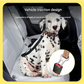 Grey Shock Absorbing Dog Leash with Reflective Stitching