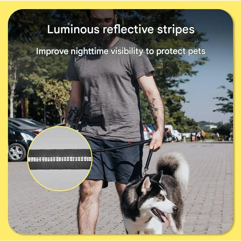 Grey Shock Absorbing Dog Leash with Reflective Stitching