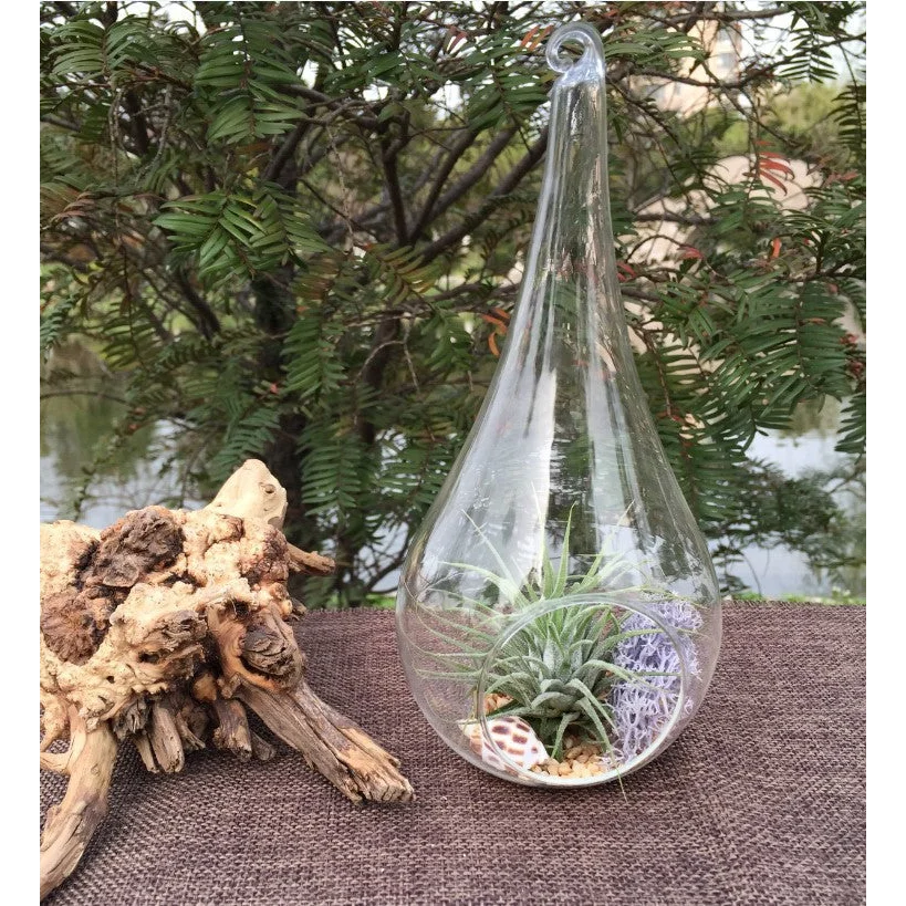 Hanging Clear Glass Tealight Candle Holder 10 Pack - 20cm