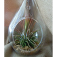 Hanging Clear Glass Tealight Candle Holder 25 Pack - 12cm