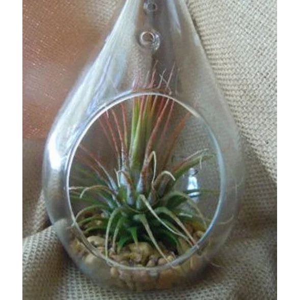 Hanging Clear Glass Tealight Candle Holder 25 Pack - 20cm