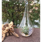 Hanging Clear Glass Tealight Candle Holder Set of 4 - Tear