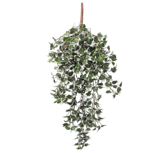 Hanging Ivy Bush Mixed Green and White Tipped 80cm UV
