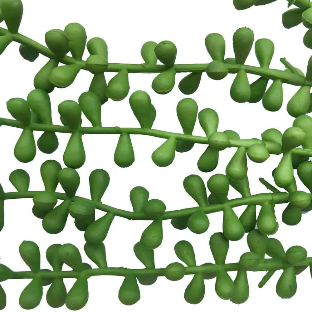Hanging Succulent String Of Pearl Beads 75cm - Home &