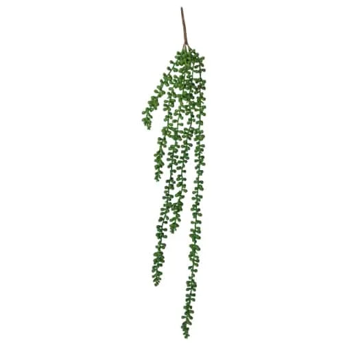 Hanging Succulent String Of Pearl Beads 75cm - Home &