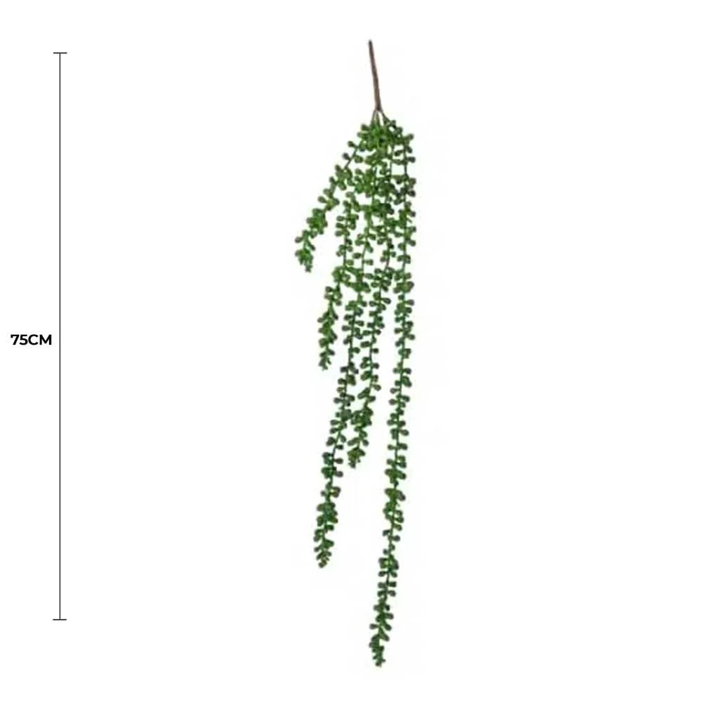 Hanging Succulent String Of Pearl Beads 75cm - Home &