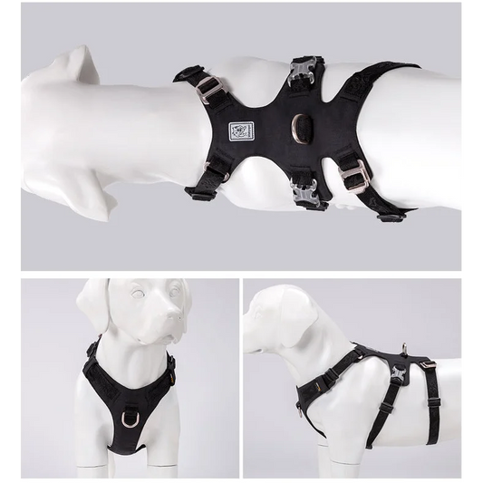 Harness - Whinhyepet Black (2XS)