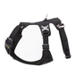 Harness - Whinhyepet Black (XL)