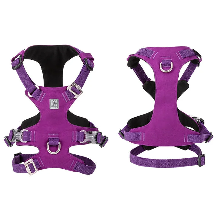 Harness - Whinhyepet Purple (L)