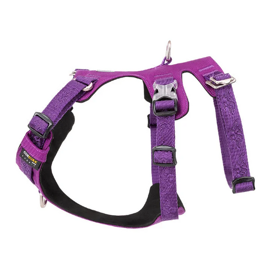 Harness - Whinhyepet Purple (M)