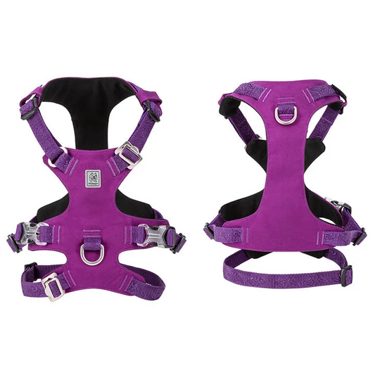 Harness - Whinhyepet Purple (S)