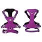 Harness - Whinhyepet Purple (XS)