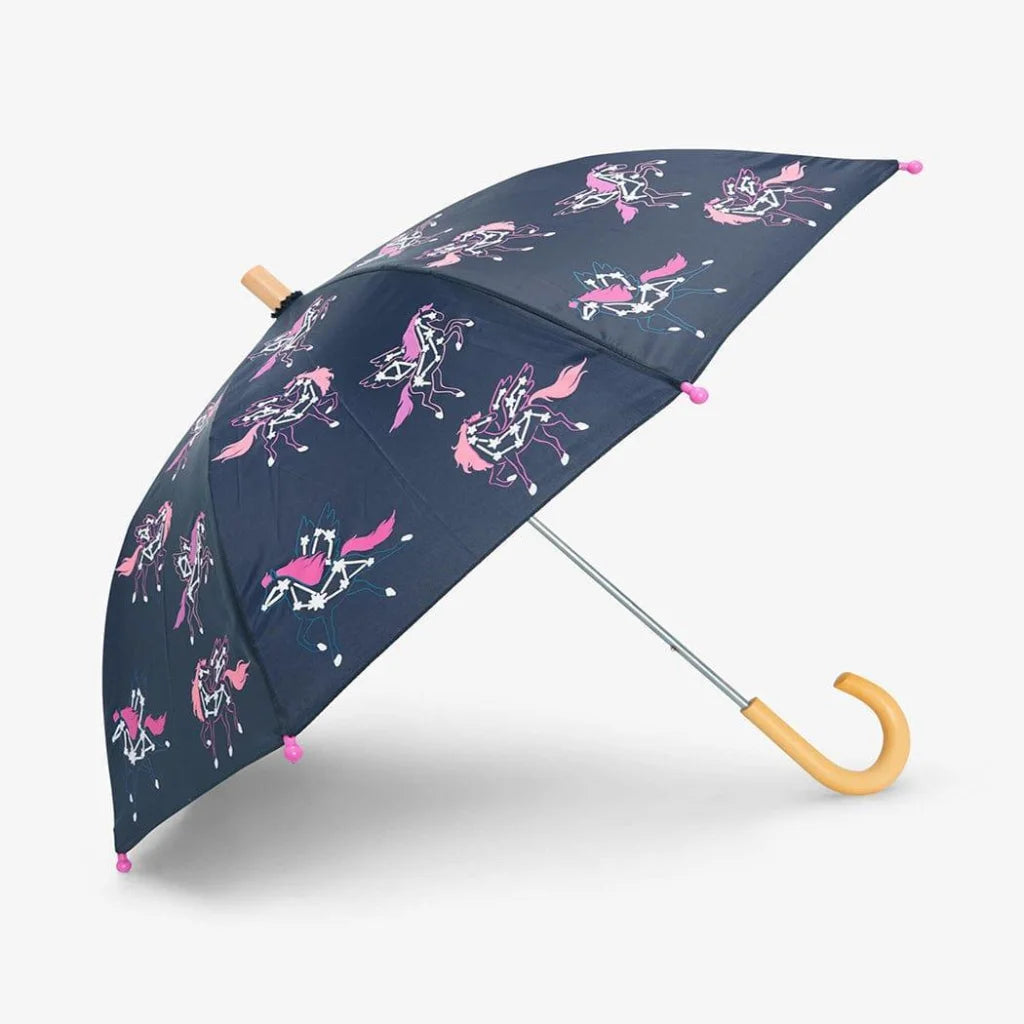 HATLEY Colour Changing Umbrella | Pegasus Constellations-1973194221397610496