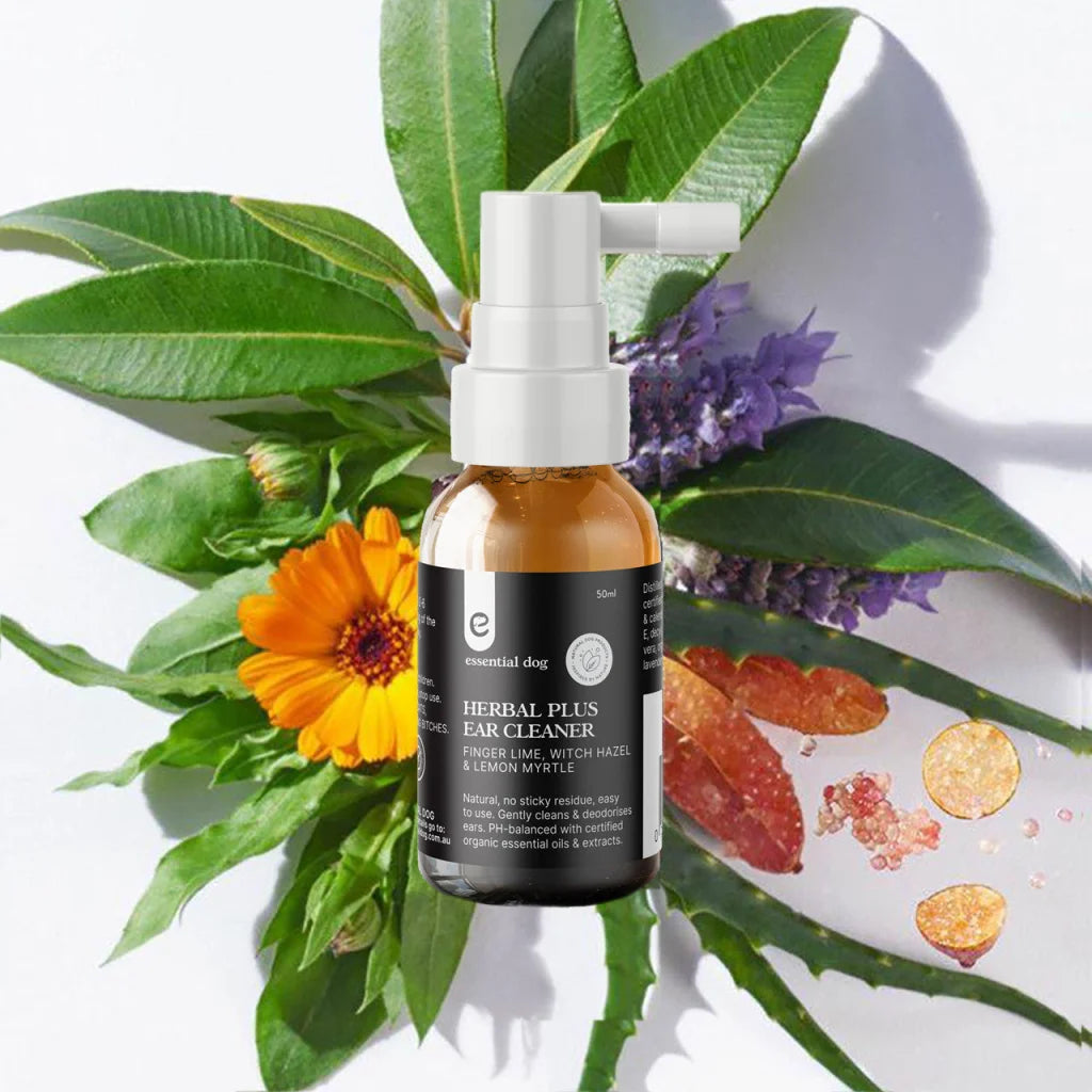 Herbal Plus Dog Ear Cleaner (Witch Hazel Aloe & Lemon