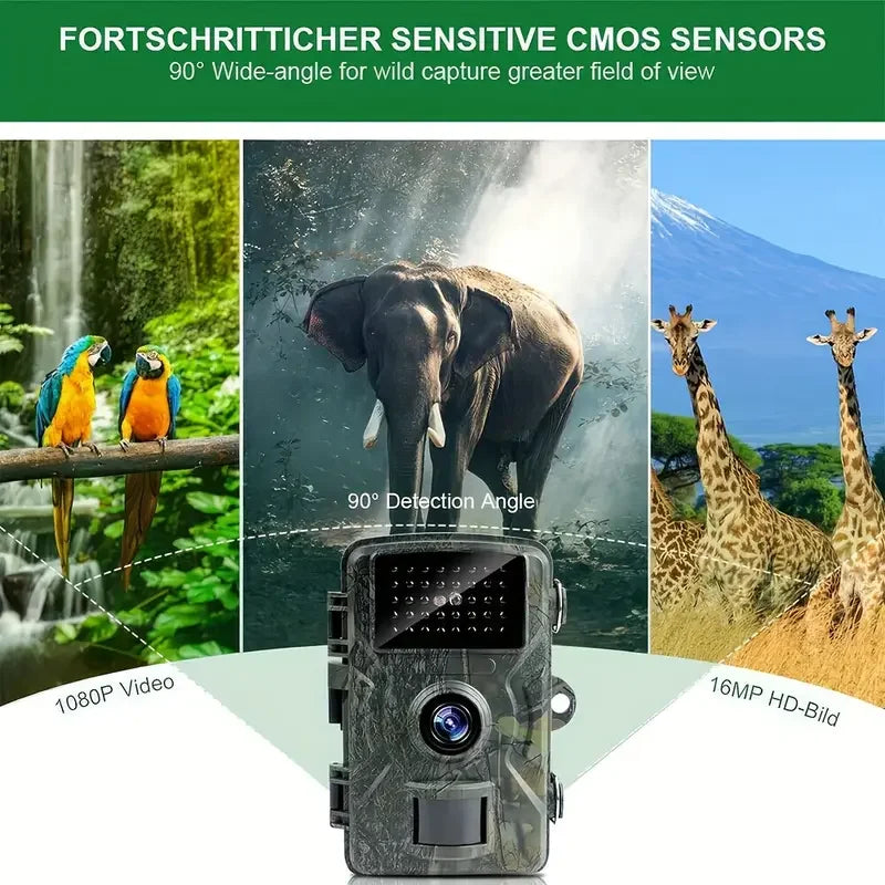 Hiking and hunting camera with night vision function