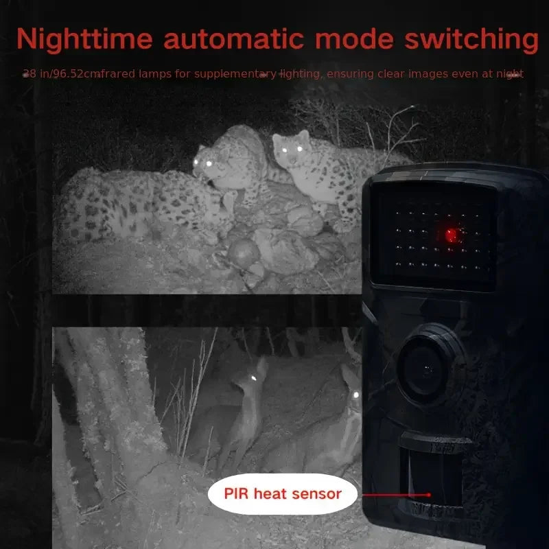 Hiking and hunting camera with night vision function
