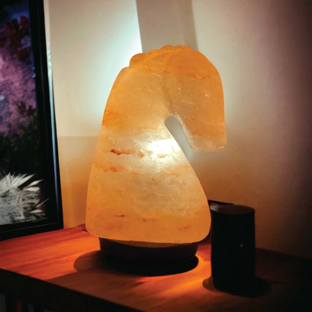 Himalayan Pink Salt Lamp 12V 12W Carved Knight Rock Crystal