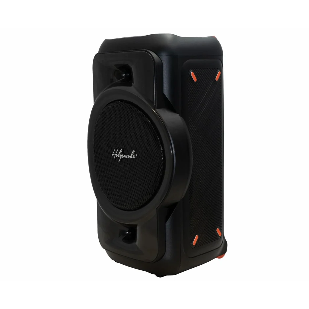 Holysmoke Raphe Bluetooth TWS Party Speaker 12’’ Portable