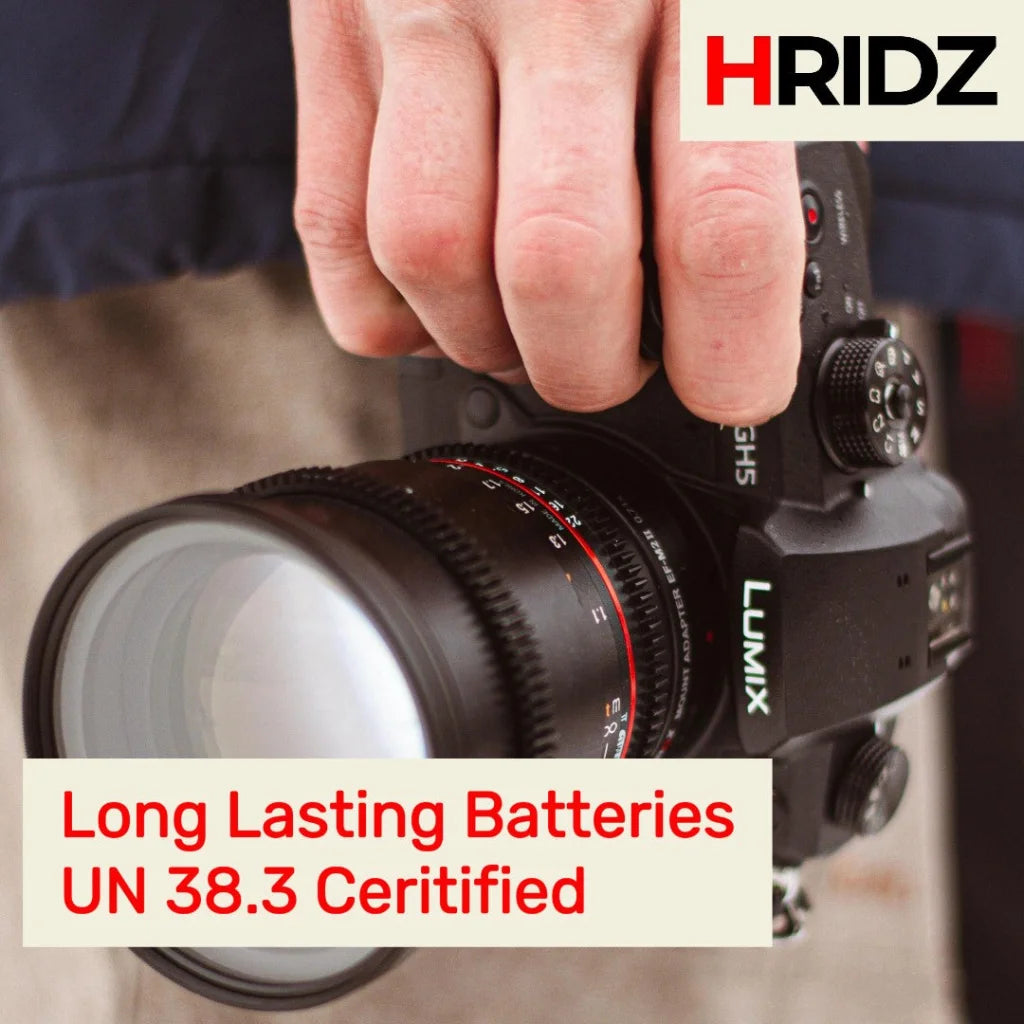 Hridz BLK22 Battery for Panasonic DMW-BLK22 and Panasonic