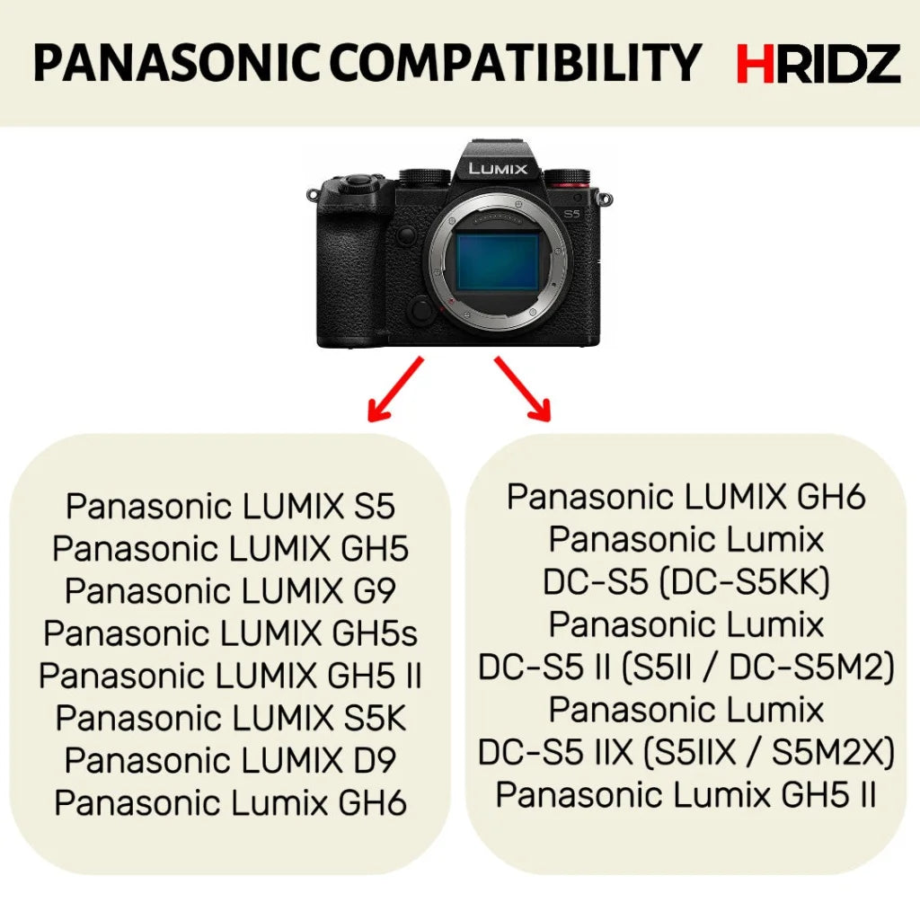 Hridz BLK22 Battery for Panasonic DMW-BLK22 and Panasonic