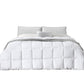 DreamZ 200GSM All Season Bamboo Winter King Single