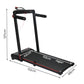 Centra 2 In 1 Treadmill
