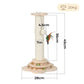 Pawz Cat Scratcher Wooden Scratching Post