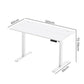Levede Electric Standing Desk Height Adjustable 120cm