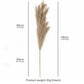 Santaco Pampas Grass Artificial 3Pcs 116cm Fluffy Faux Silk for Vase Brown