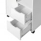 Levede Desktop Filing Cabinet Adjustable With Drawers For Home Office White
