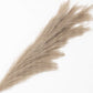 Santaco Pampas Grass Artificial 3Pcs 116cm Fluffy Faux Silk for Vase Brown