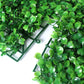 Marlow Artificial Hedge Grass Boxwood