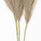 Santaco Pampas Grass Artificial 3Pcs 116cm Fluffy Faux Silk for Vase Brown
