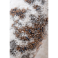 Indulgence INDU004 Rug - 240x330 - Home & Garden
